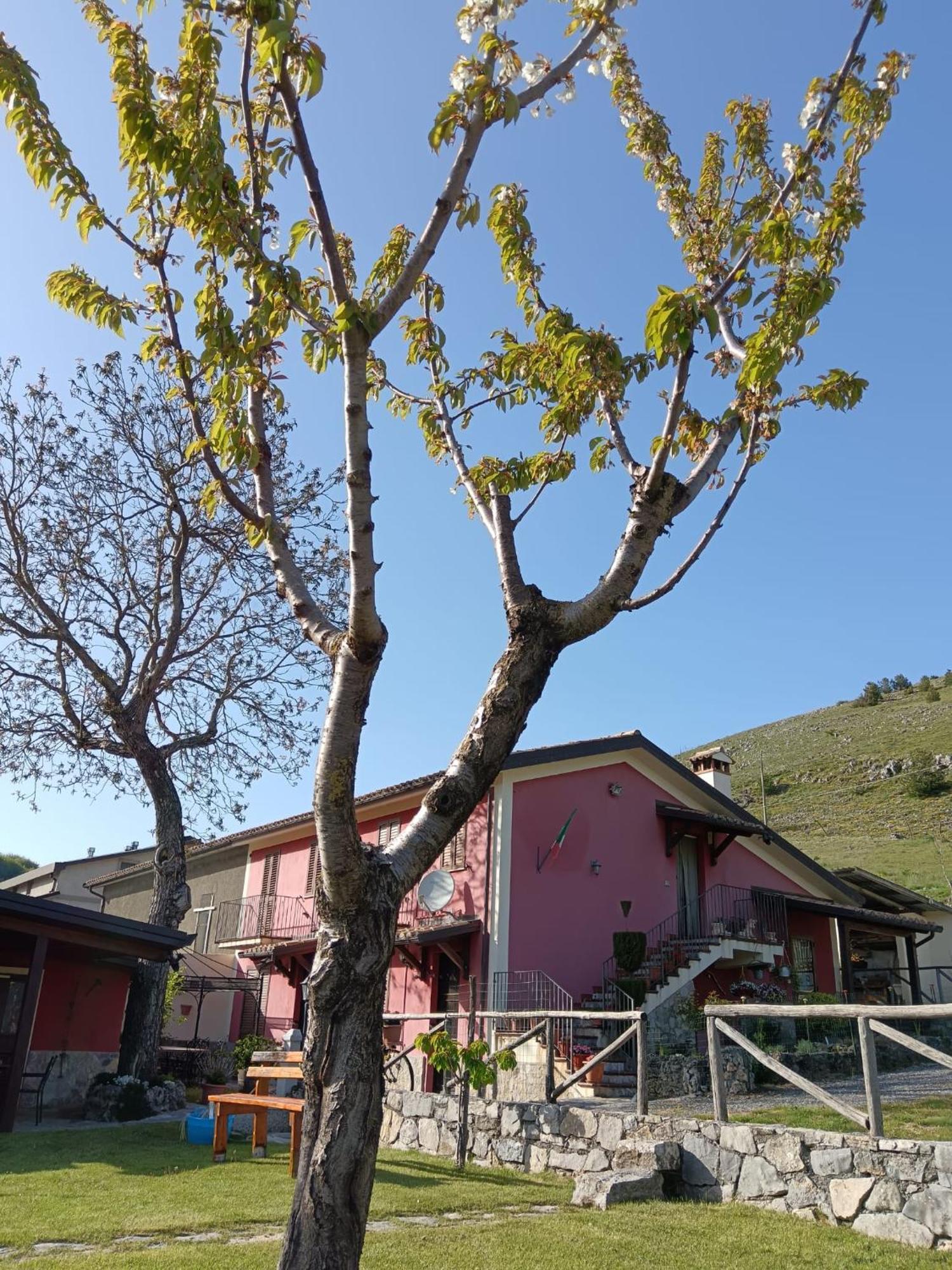 Agriturismo Casa Della Nonna Mormanno Ngoại thất bức ảnh