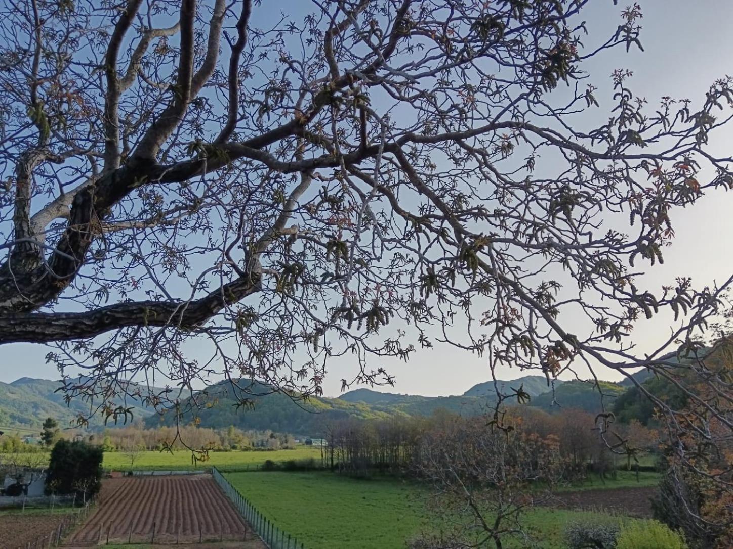 Agriturismo Casa Della Nonna Mormanno Ngoại thất bức ảnh