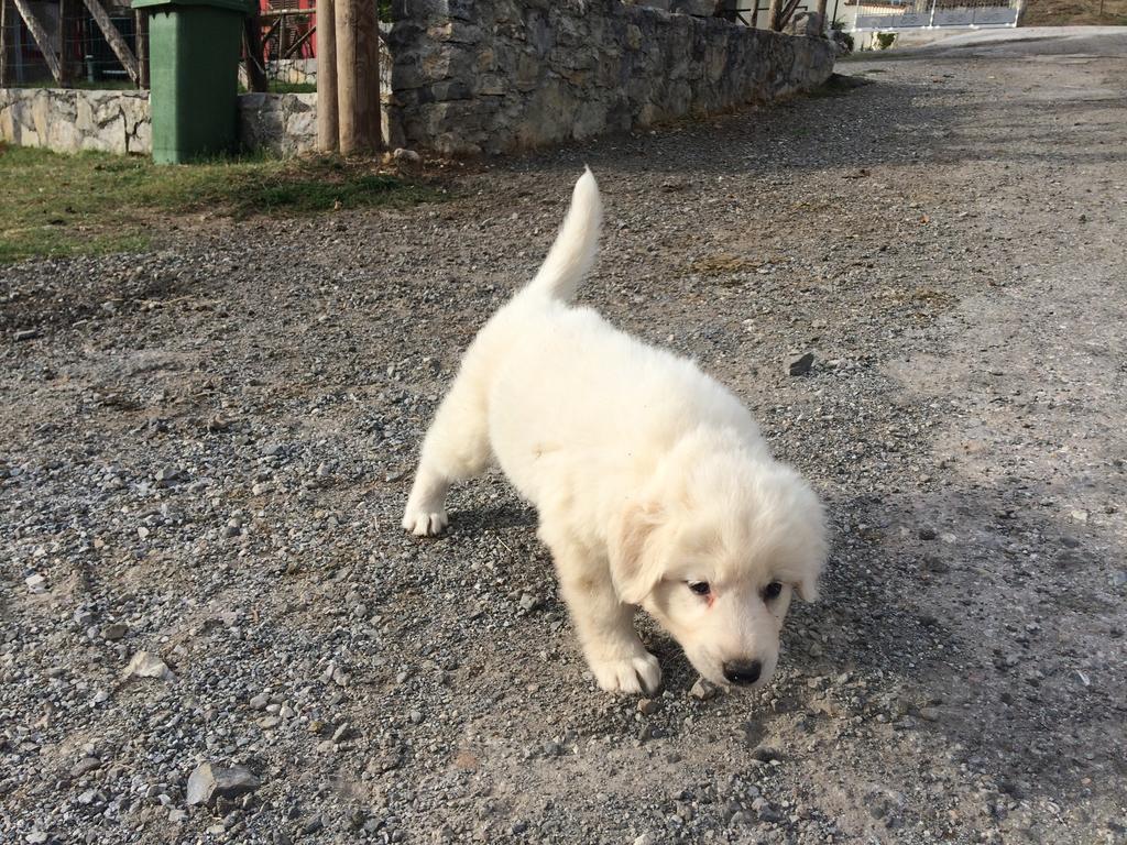 Agriturismo Casa Della Nonna Mormanno Ngoại thất bức ảnh